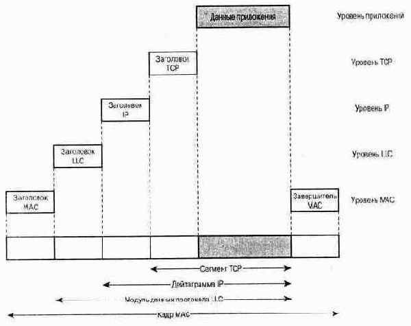  IEEE 802  